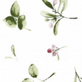 Branches vertes rouges sur Blanc